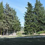 content-gallery-6-large